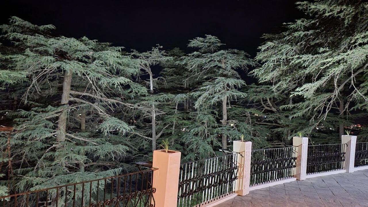 Glen View Heritage Homestay Shimla Eksteriør bilde