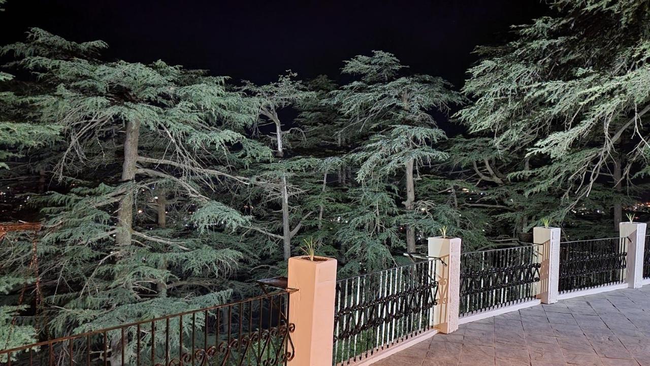 Glen View Heritage Homestay Shimla Eksteriør bilde