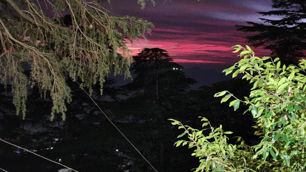 Glen View Heritage Homestay Shimla Eksteriør bilde