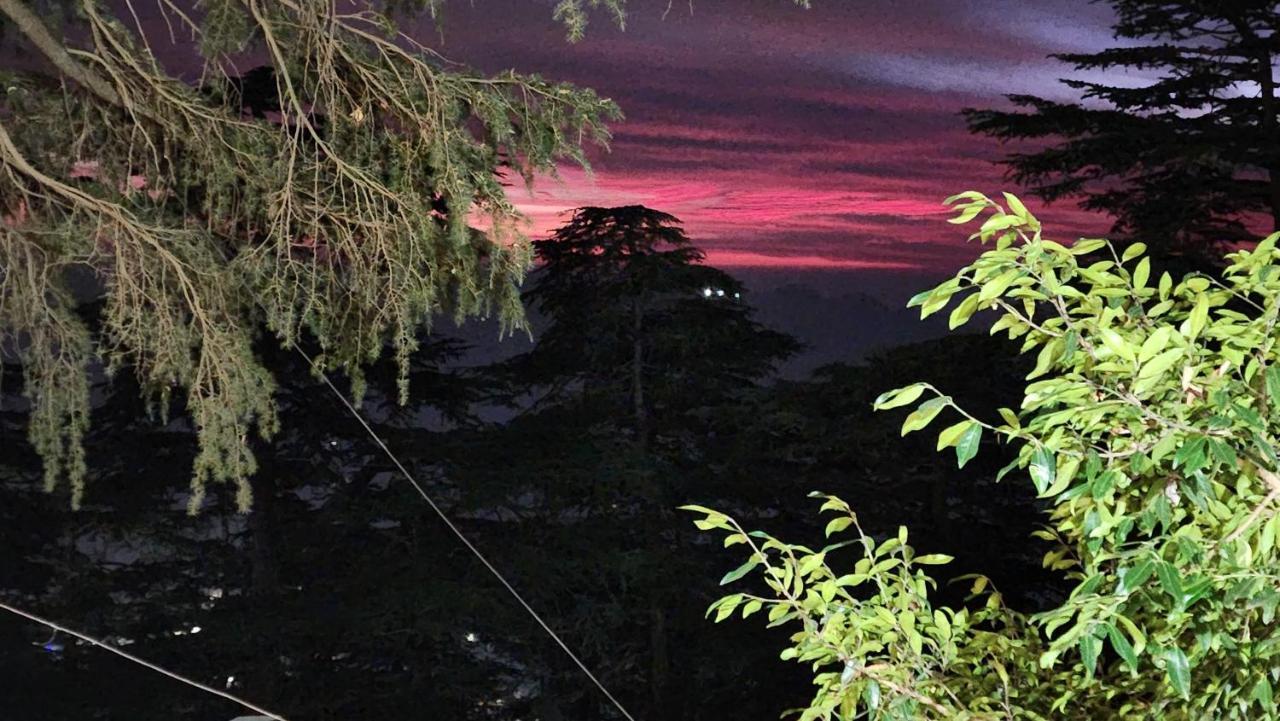 Glen View Heritage Homestay Shimla Eksteriør bilde