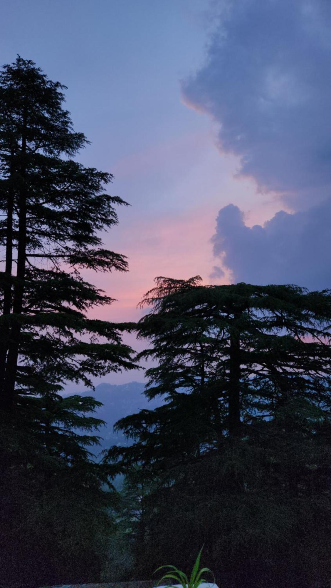 Glen View Heritage Homestay Shimla Eksteriør bilde