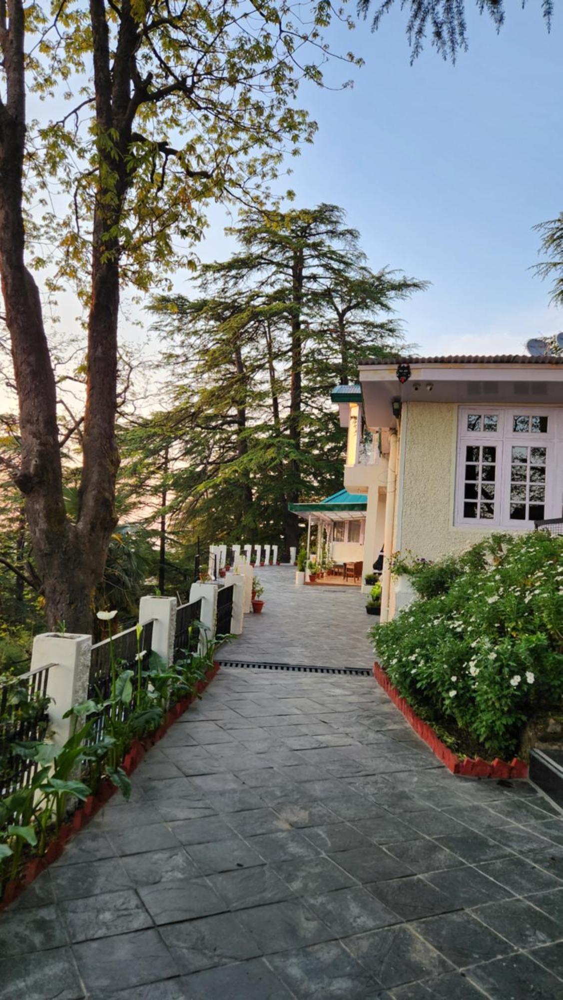 Glen View Heritage Homestay Shimla Eksteriør bilde