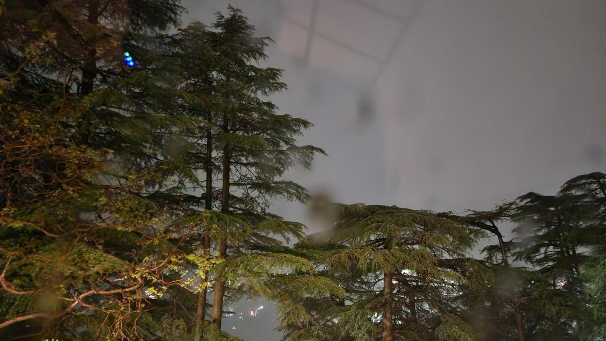 Glen View Heritage Homestay Shimla Eksteriør bilde