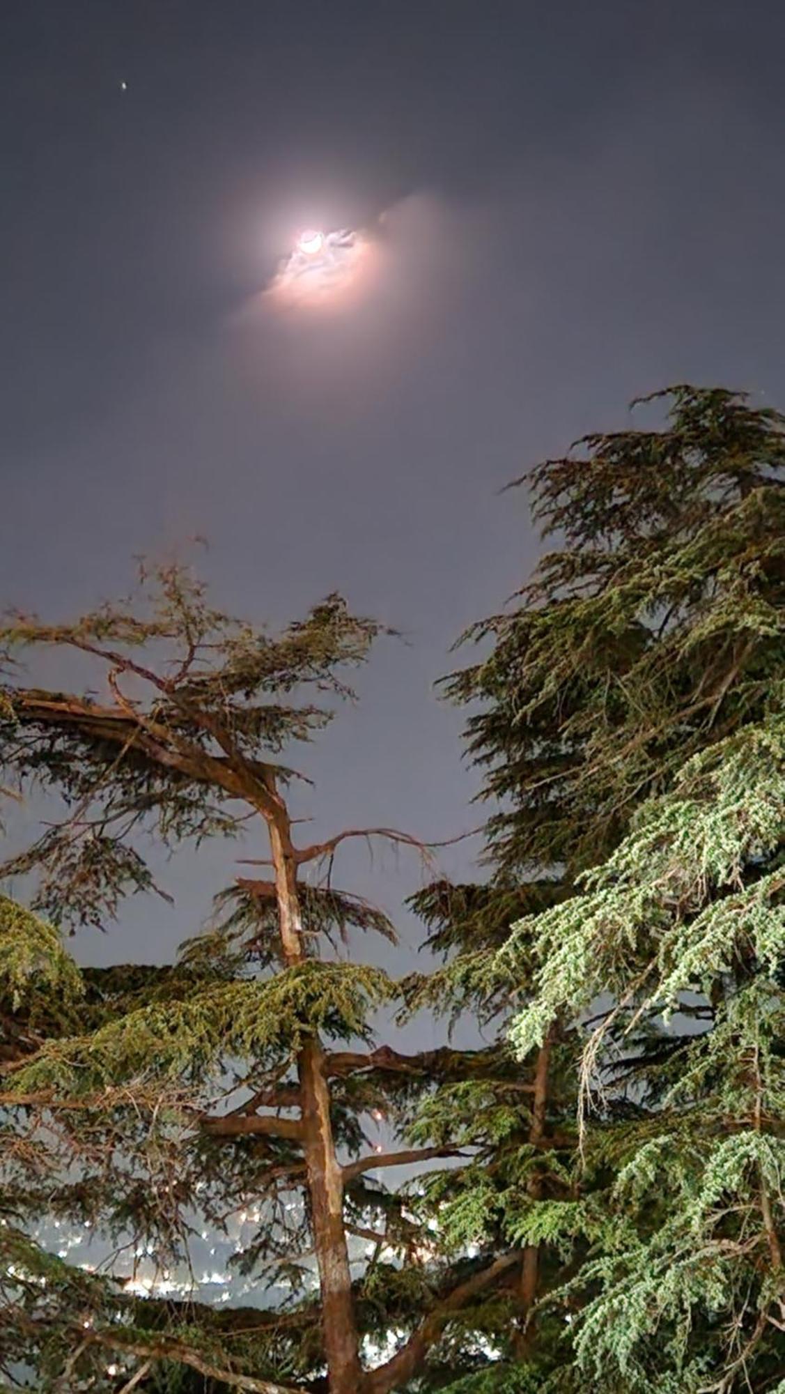 Glen View Heritage Homestay Shimla Eksteriør bilde