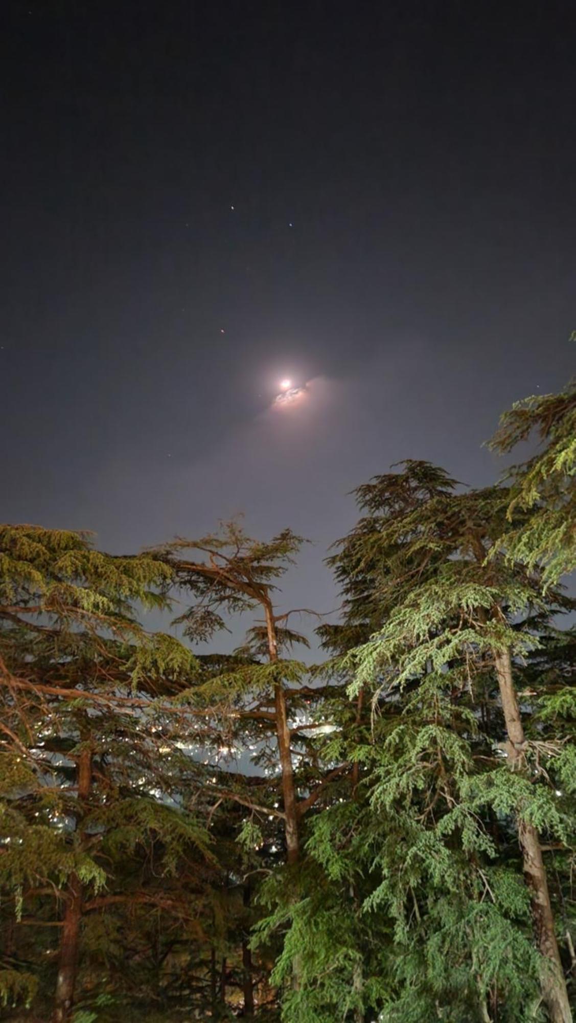 Glen View Heritage Homestay Shimla Eksteriør bilde
